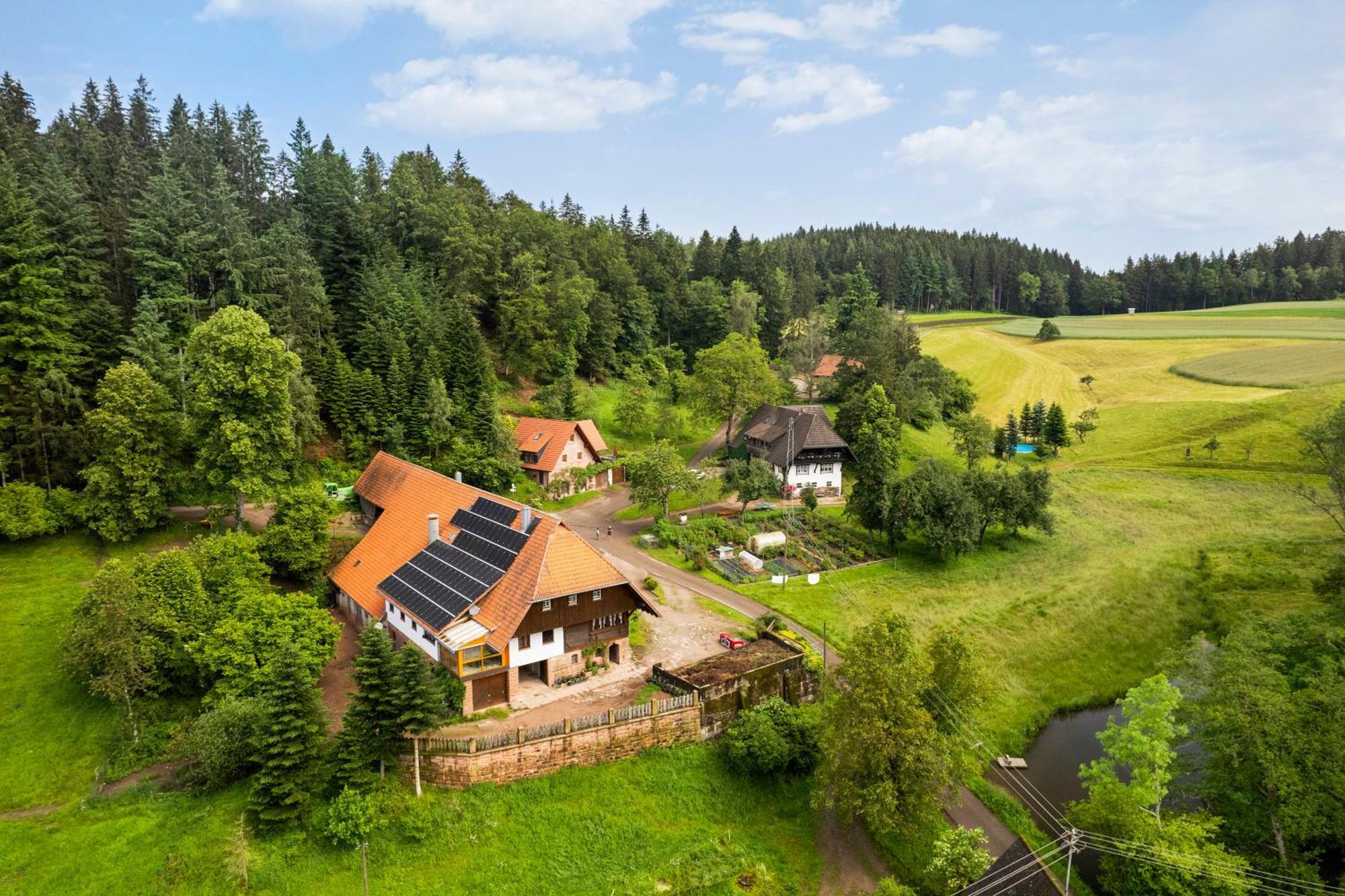 Hexenhaeuschen Villa Wolfach Bagian luar foto