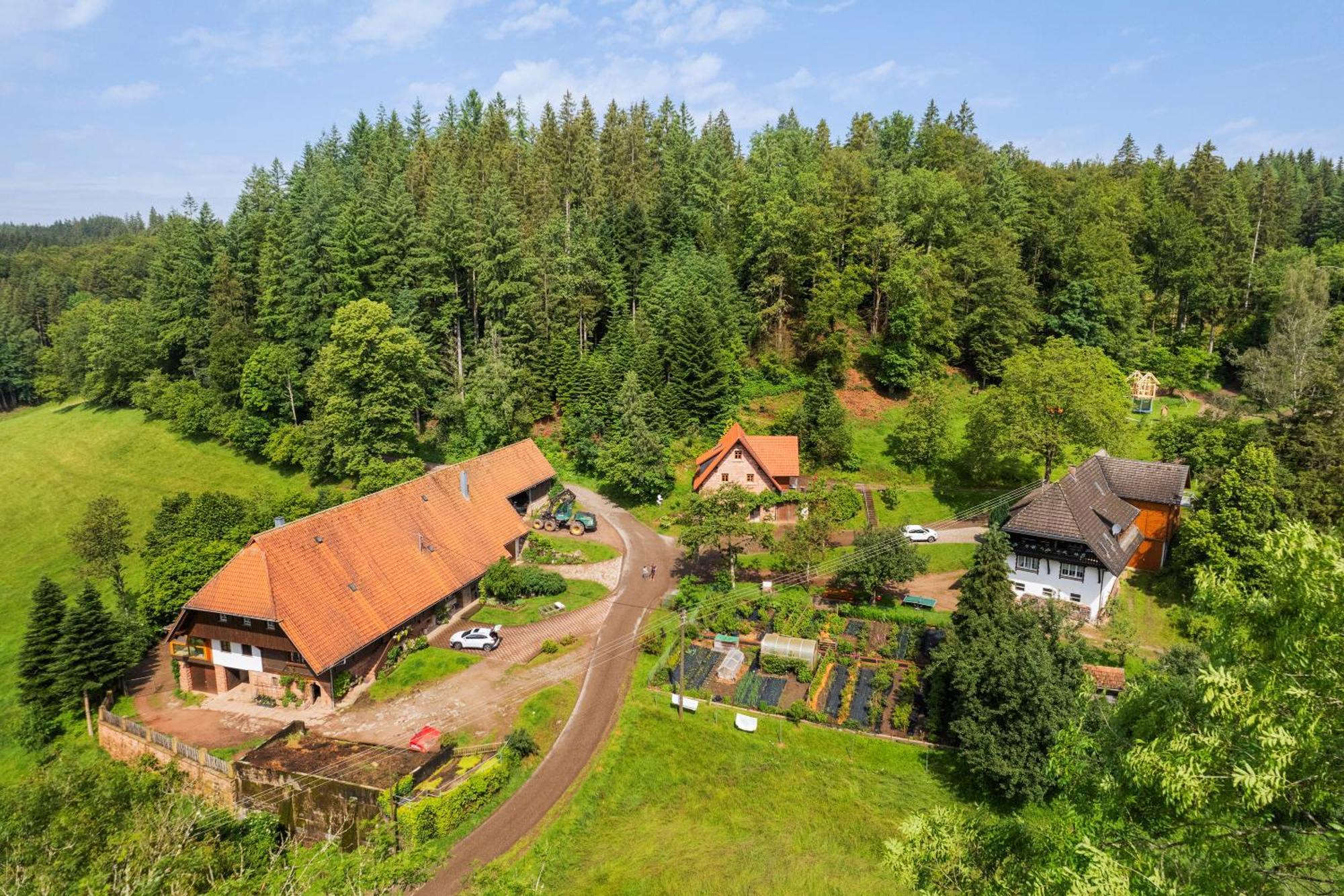 Hexenhaeuschen Villa Wolfach Bagian luar foto